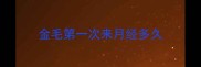 金毛第一次来月经多久