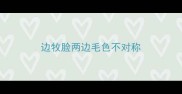 边牧脸两边毛色不对称