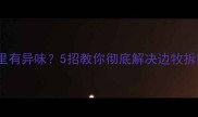 边牧拆家后家里有异味5招教你彻底解决边牧拆家异味问题