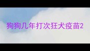 狗狗几年打次狂犬疫苗
