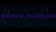 拉布拉多耳朵向后折叠常见原因与科学护理指南