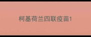 柯基荷兰四联疫苗
