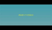 高加索几个月开始训