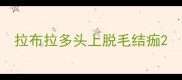 拉布拉多头上脱毛结痂