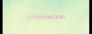 三个月的边牧应多高