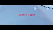 卡斯罗7个月肩高