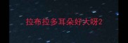 拉布拉多耳朵好大呀