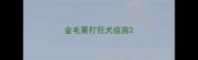 金毛要打狂犬疫苗