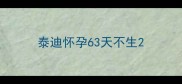 泰迪怀孕63天不生