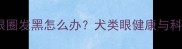 边境牧羊犬眼圈发黑怎么办犬类眼健康与科学护理指南