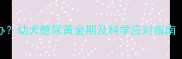 狗狗憋尿怎么办幼犬憋尿黄金期及科学应对指南附训练视频