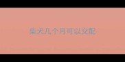 柴犬几个月可以交配
