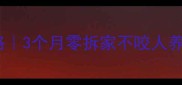 哈士奇社会化训练全攻略3个月零拆家不咬人养成记附新手避坑指南