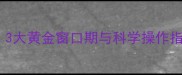 拉布拉多绝育最佳时间3大黄金窗口期与科学操作指南附详细护理清单