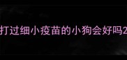 打过细小疫苗的小狗会好吗
