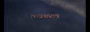 2017宠物狗行情