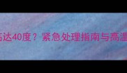 哈士奇体温高达40度紧急处理指南与高温健康风险全