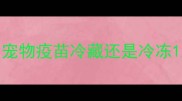 宠物疫苗冷藏还是冷冻