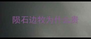 陨石边牧为什么贵