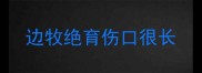 边牧绝育伤口很长