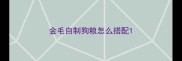 金毛自制狗粮怎么搭配