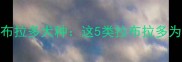 全网最全明星网红拉布拉多犬种这5类拉布拉多为何成顶流附饲养指南