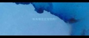 珠海哪里买宠物狗