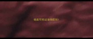 杨家坪附近宠物医院