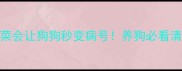 警惕这10种蔬菜会让狗狗秒变病号养狗必看清单附安全食谱