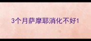 3个月萨摩耶消化不好