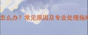 泰迪犬脖颈出现肿块怎么办常见原因及专业处理指南附症状对比表