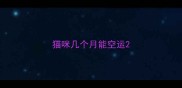 猫咪几个月能空运