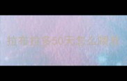 拉布拉多50天怎么喂养
