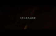 拉布拉多怎么散遛