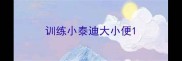 训练小泰迪大小便