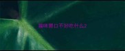 猫咪胃口不好吃什么