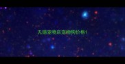 无锡宠物店宠物狗价格
