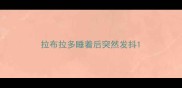 拉布拉多睡着后突然发抖