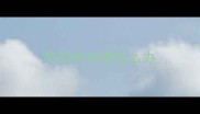 狗狗有味道怎么办