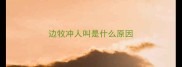 边牧冲人叫是什么原因