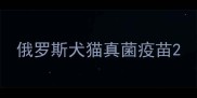 俄罗斯犬猫真菌疫苗