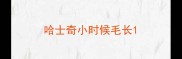 哈士奇小时候毛长