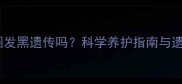 哈士奇眼圈发黑遗传吗科学养护指南与遗传概率全