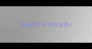 乌龟两个月不吃东西