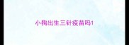 小狗出生三针疫苗吗