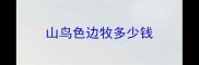 山鸟色边牧多少钱
