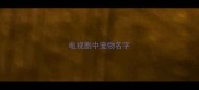 电视剧中宠物名字
