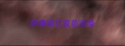 萨摩耶打疫苗洗澡