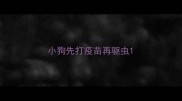小狗先打疫苗再驱虫
