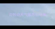 边牧幼犬气喘怎么回事